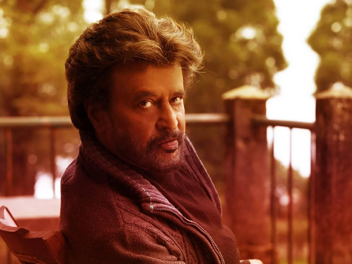 Petta PC Wallpaper