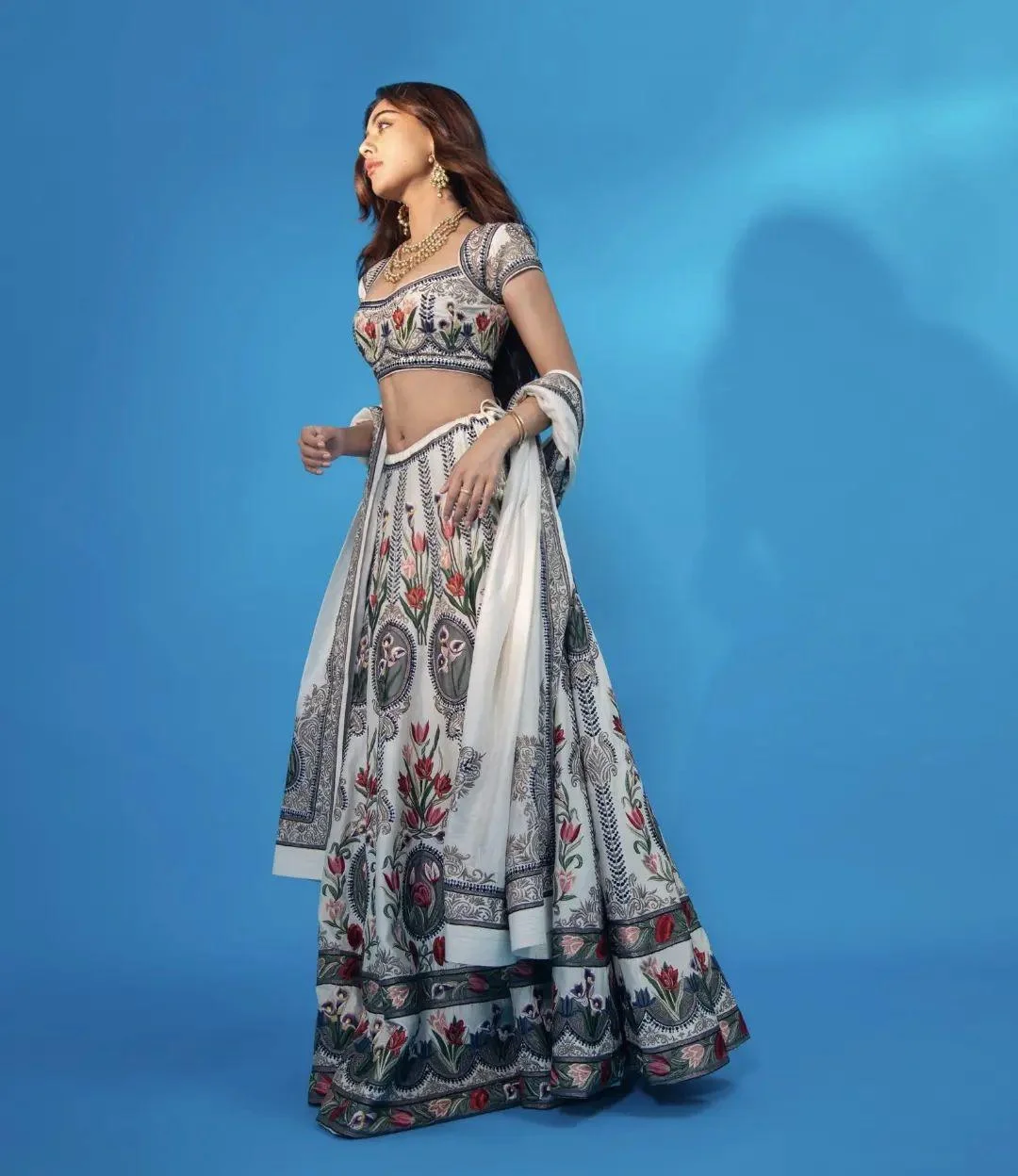 Anu Emmanuel in Elegant Embroidered Dress HD Pic