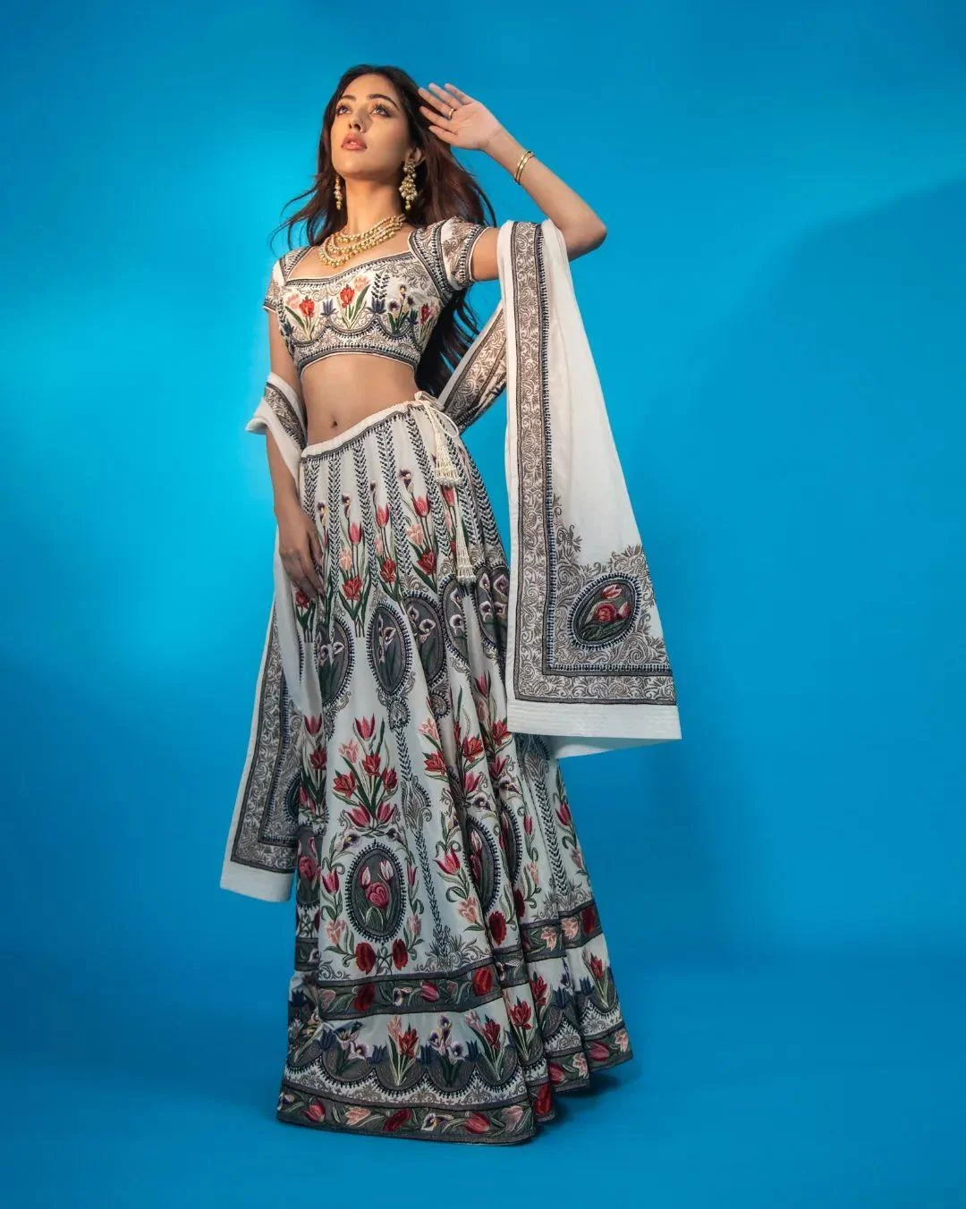 Anu Emmanuel in Elegant Embroidered Dress HD Wallpaper