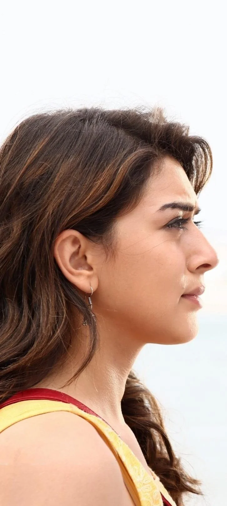 Hansika Motwani Cute Hd Wallpaper