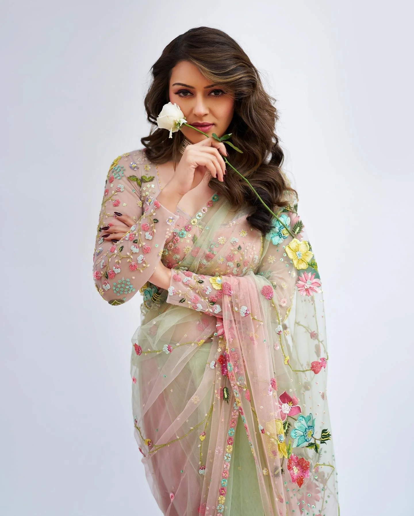 Hansika Motwani in Floral Saree HD Image