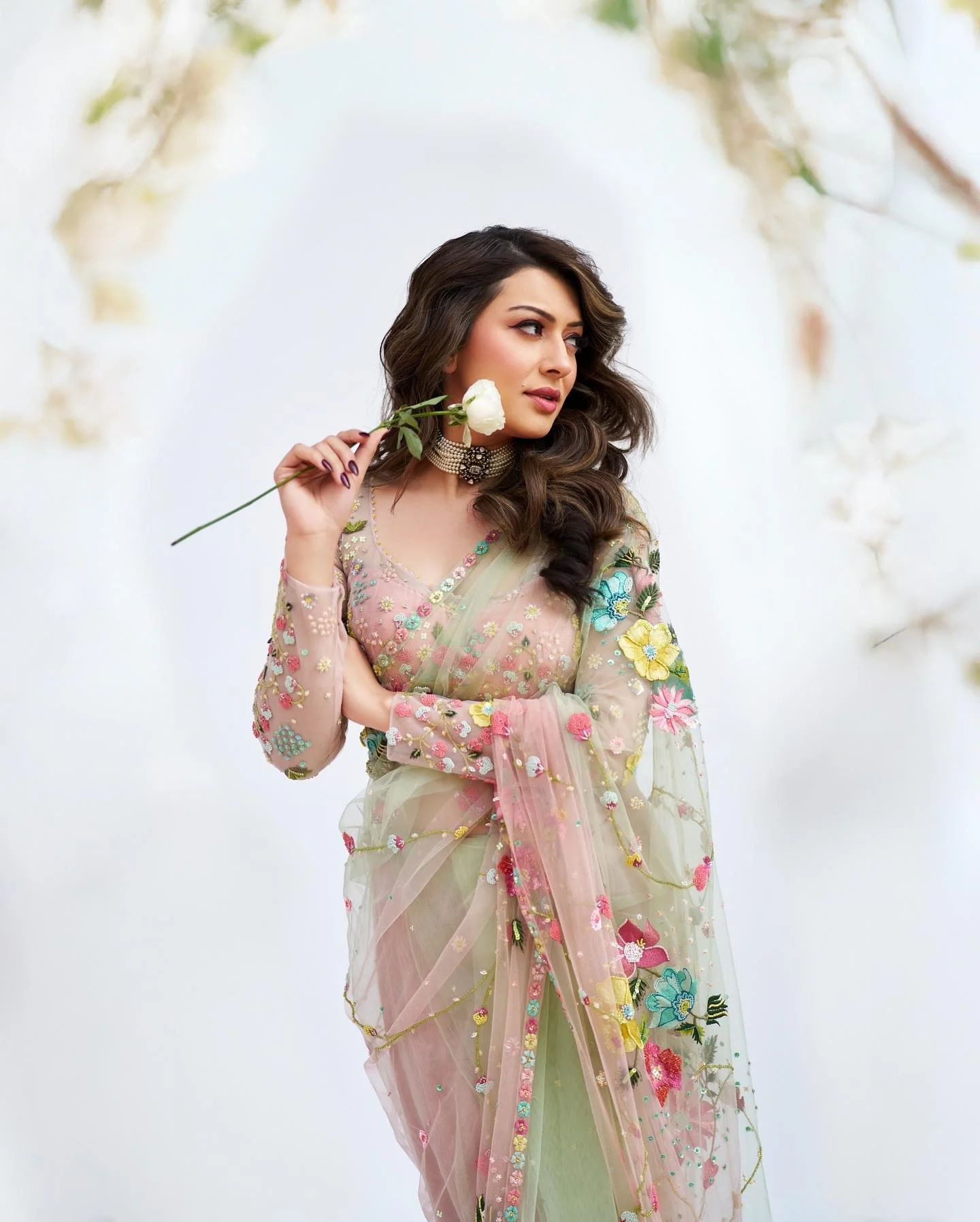 Hansika Motwani in Floral Saree HD Pic