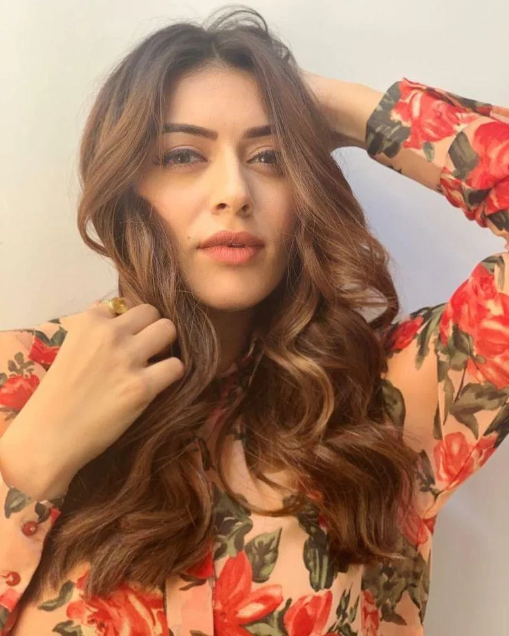 Hansika Motwani in Glamorous Look HD Portrait Wallpaper