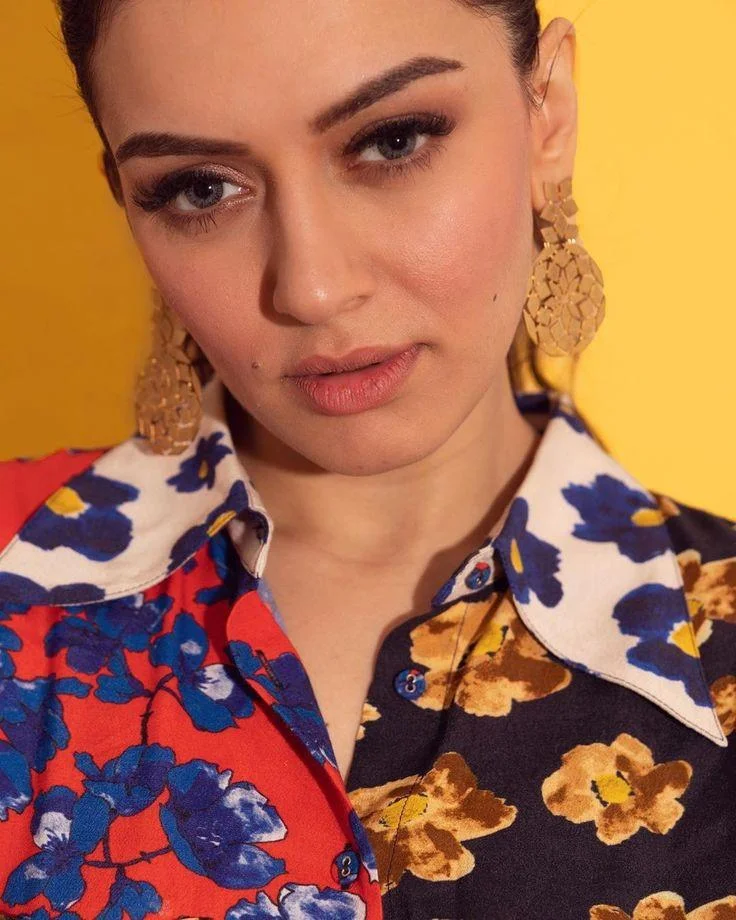 Hansika Motwani in Glamorous Look HD Portrait