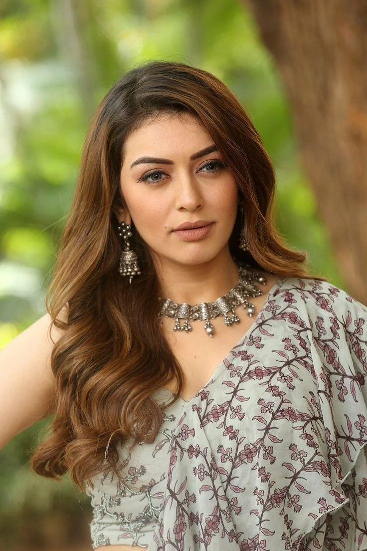 Hansika Motwani in Glamorous Look HD Wallpaper
