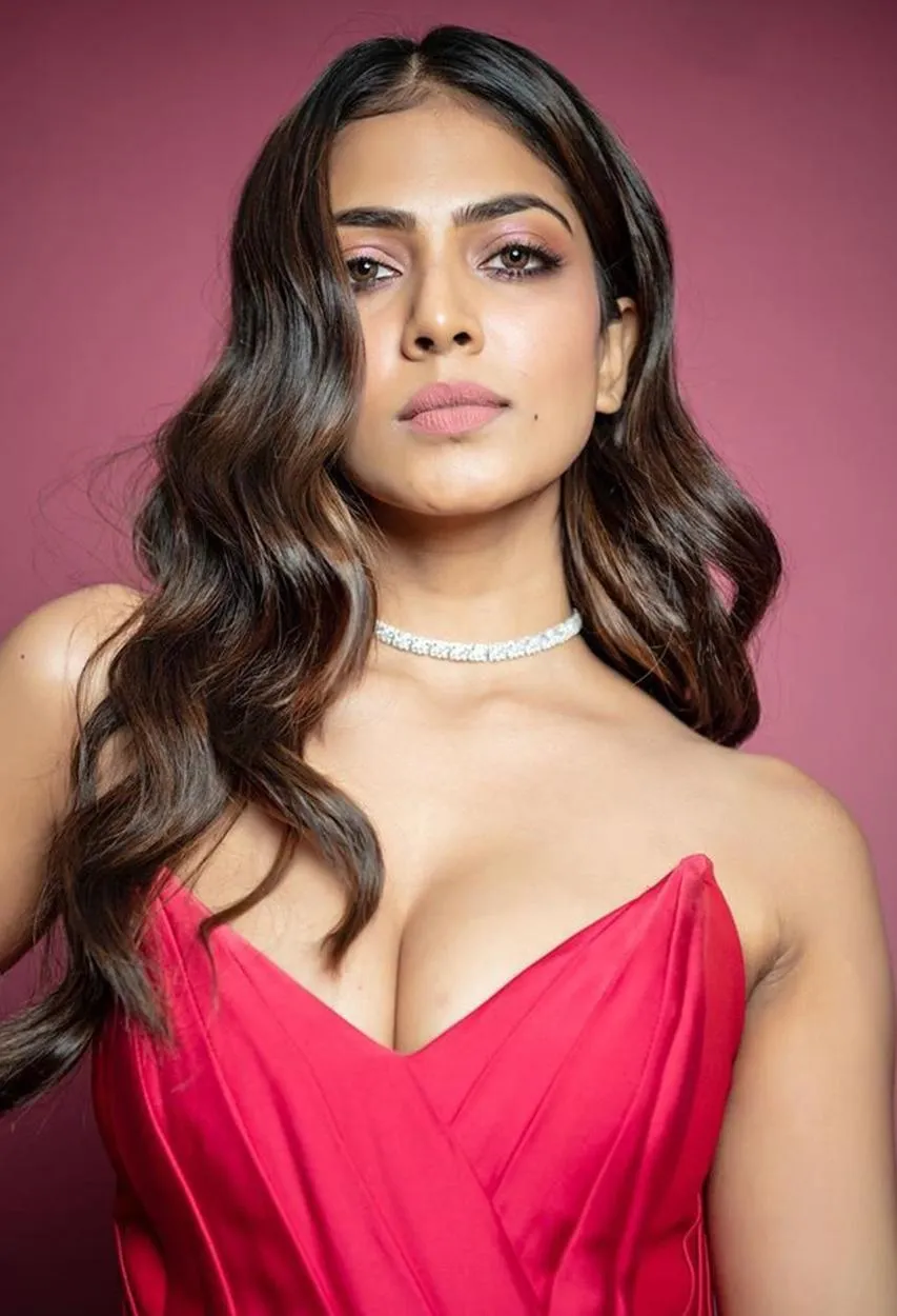 Attractive Malavika Mohanan in Pink Gown Graceful Beauty