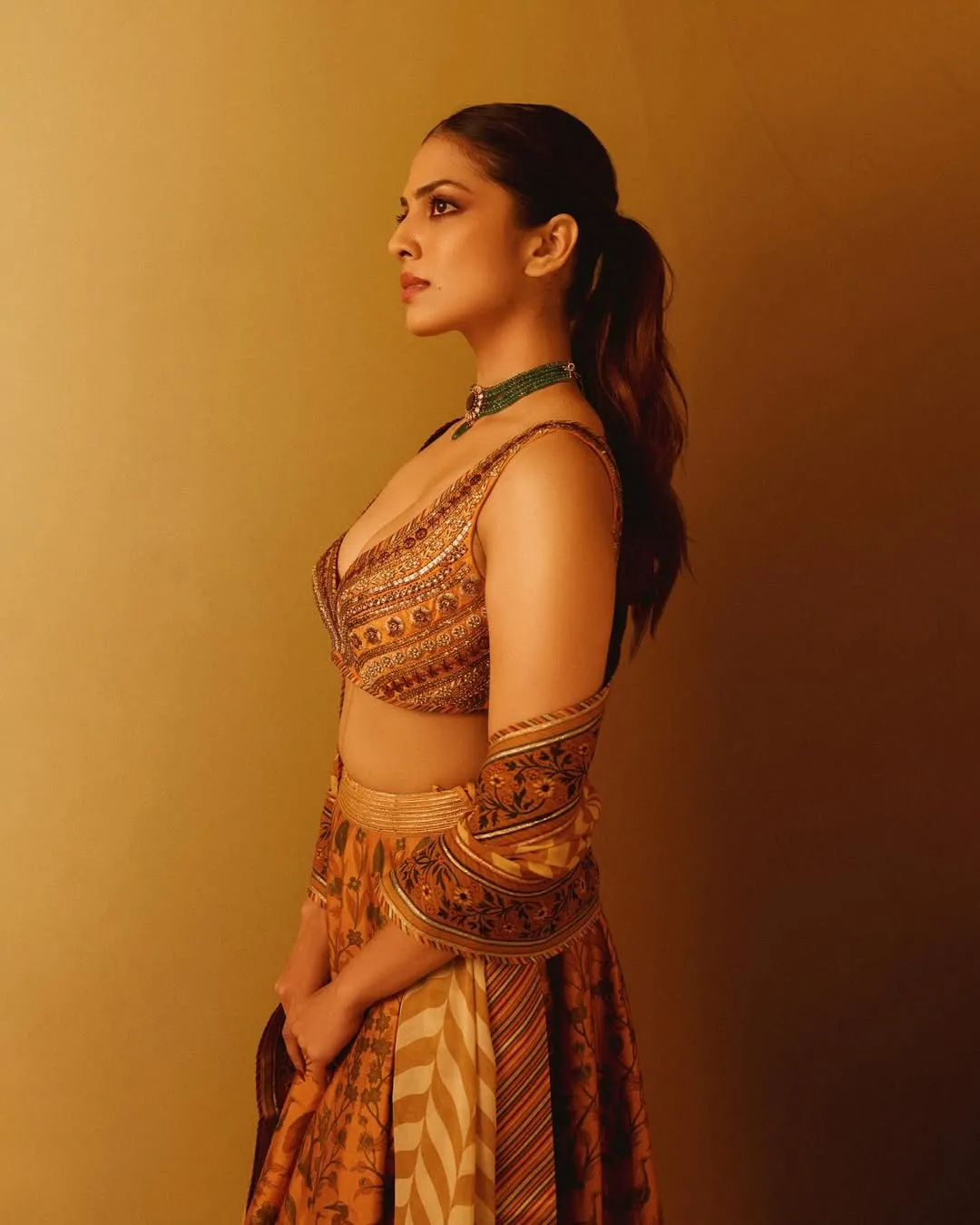 Charming Malavika Mohanan Warm Toned Fashion Portrait Image