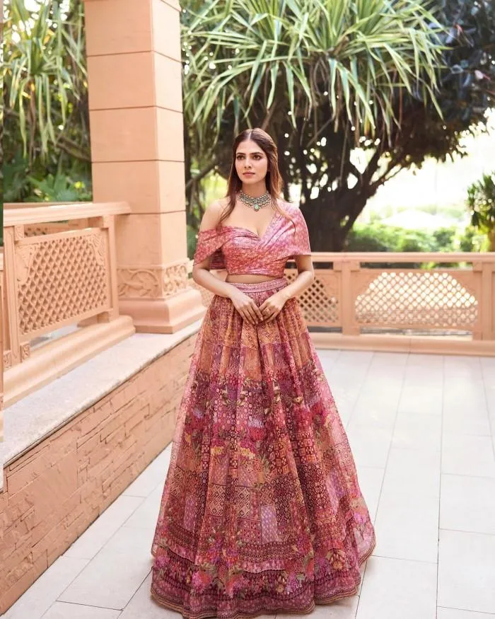 Charming Malavika Mohanan Wearing Traditional Dress Image