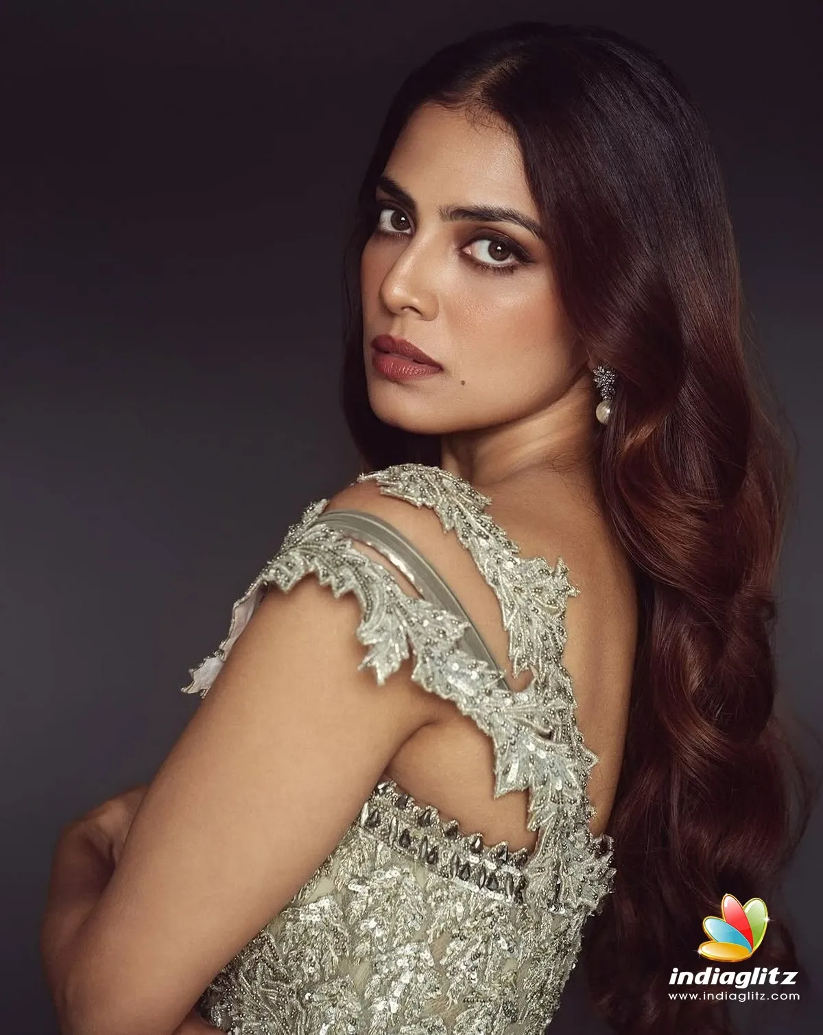 Gorgeous Malavika Mohanan in Embellished Saree Pose Image