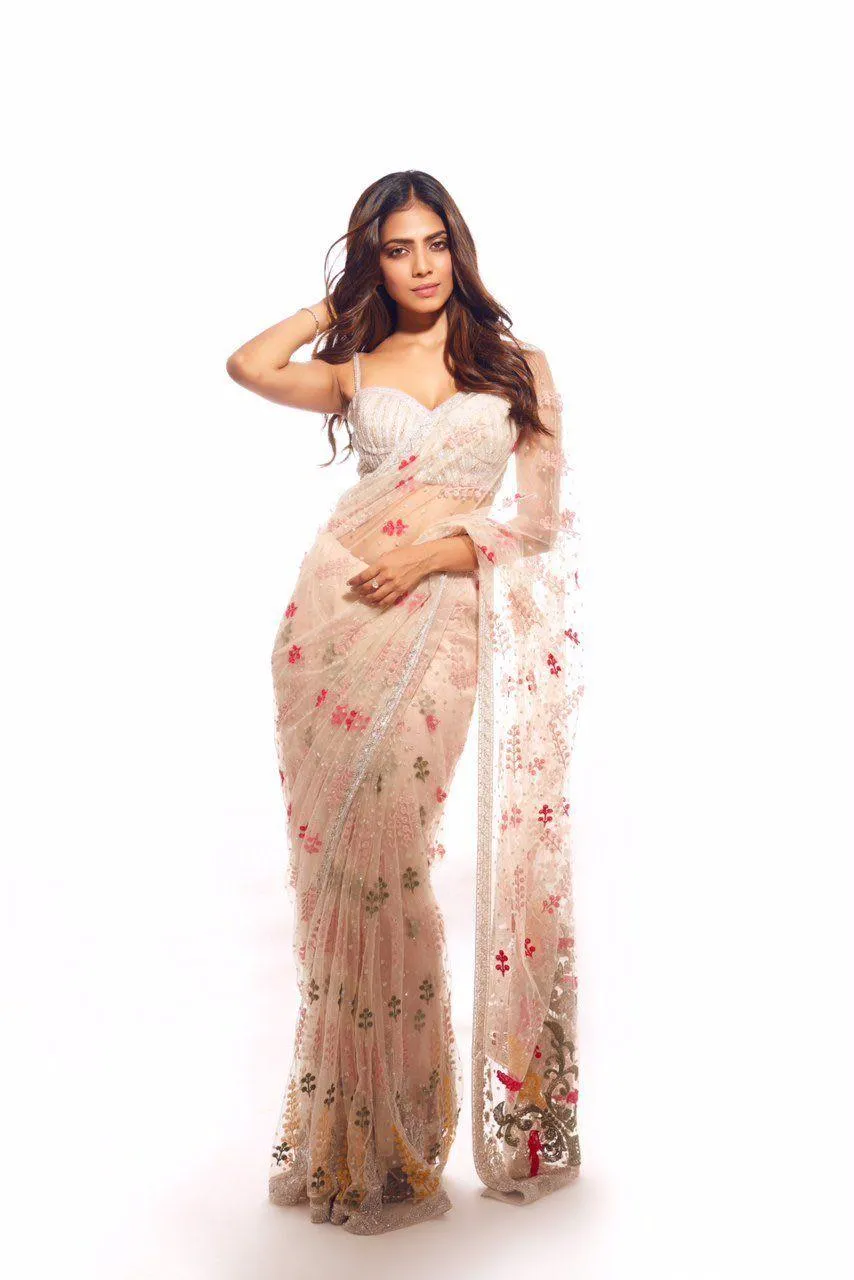 Hot Malavika Mohanan in Designer Saree Elegant Full Pose