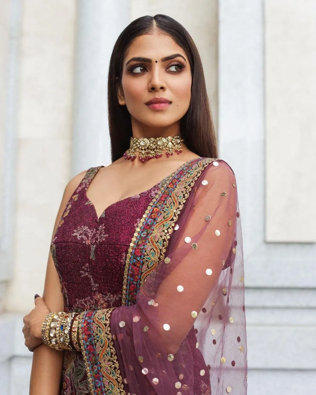 Hot Malavika Mohanan in Maroon Embroidered Saree Posing