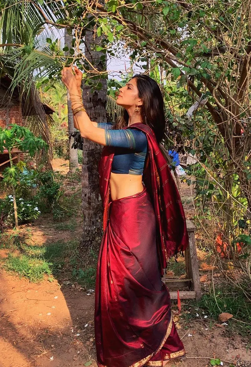 Malavika Mohanan in Traditional Charming Indian Attire Image