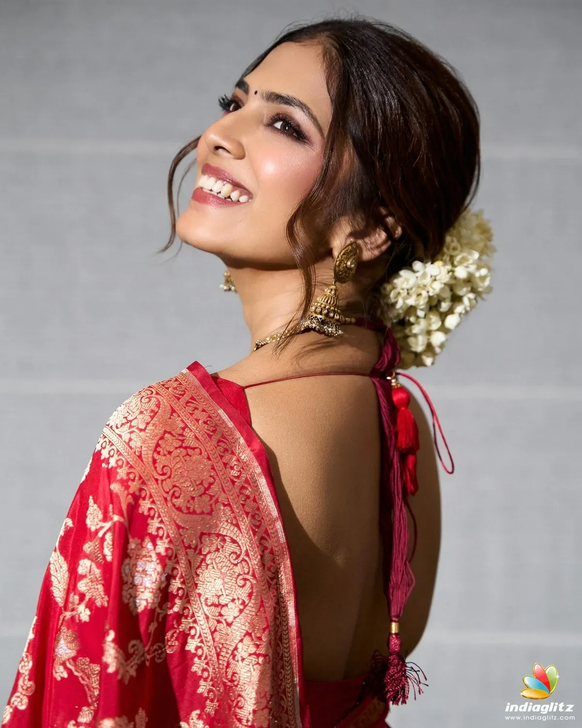 Sensual Malavika Mohanan in Elegant Saree Side Pose Image