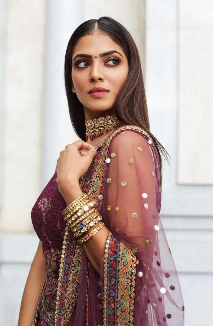 Stunning Malavika Mohanan in Maroon Saree Stylish Glance