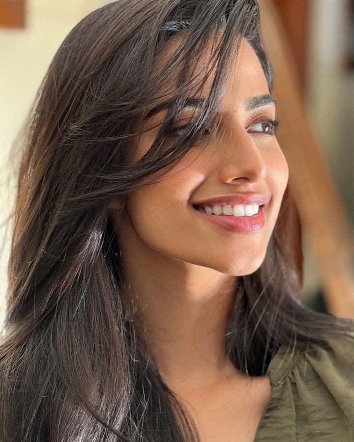 Meenakshi Chaudhary Image