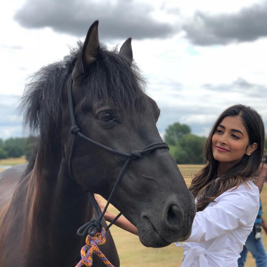 Pooja Hegde Enjoying a Calm Moment with a Black Horse