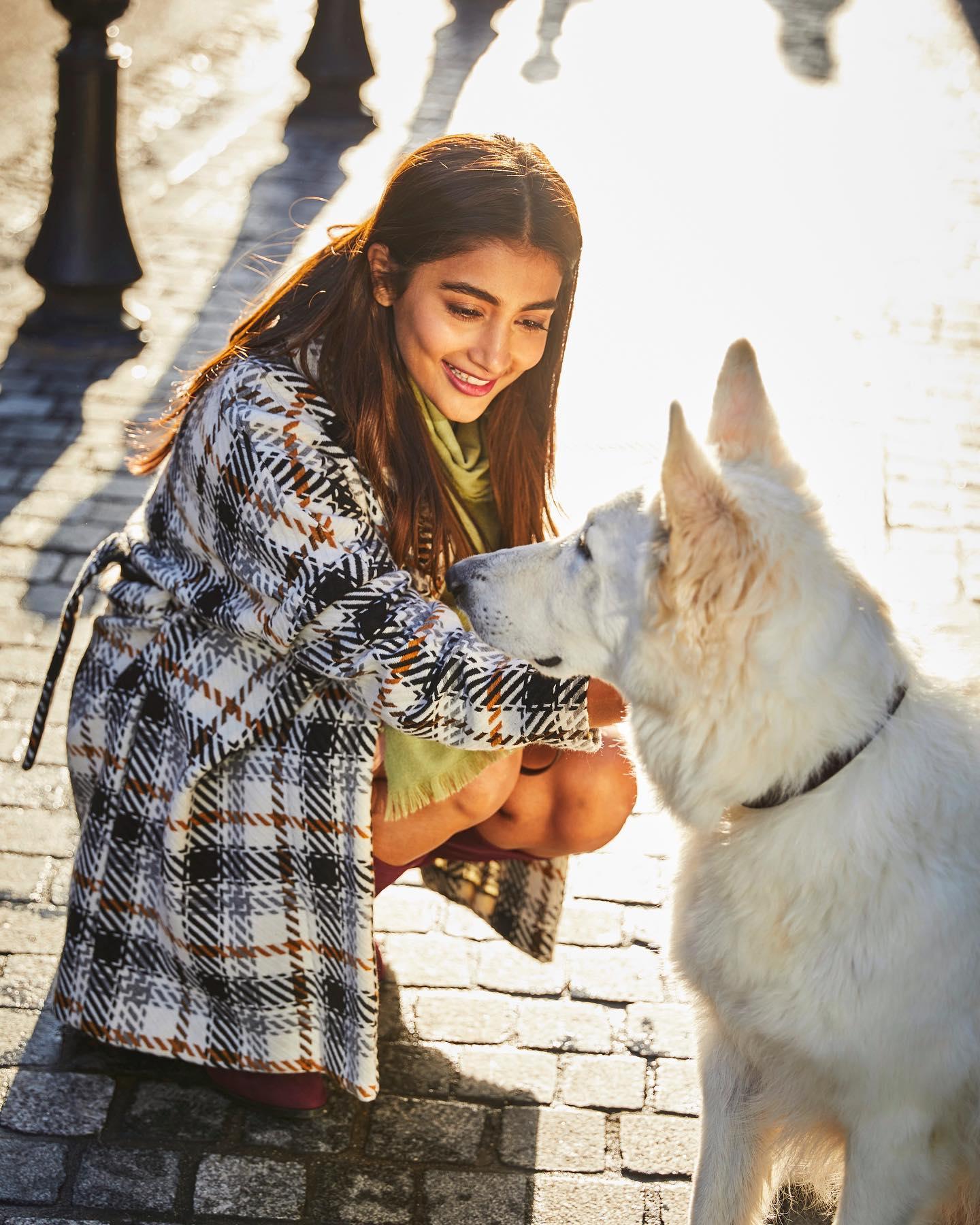 Pooja Hegde Pets a White Dog on a Sunlit Street Wallpaper