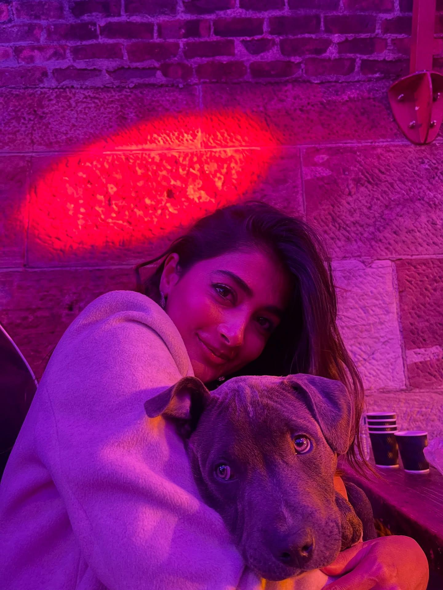 Pooja Hegde with Dog in Cozy Hoodie Under Neon Lights