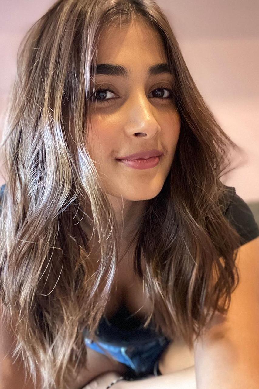 Pooja Hegde with Soft Curls Posing in Warm Lighting Image