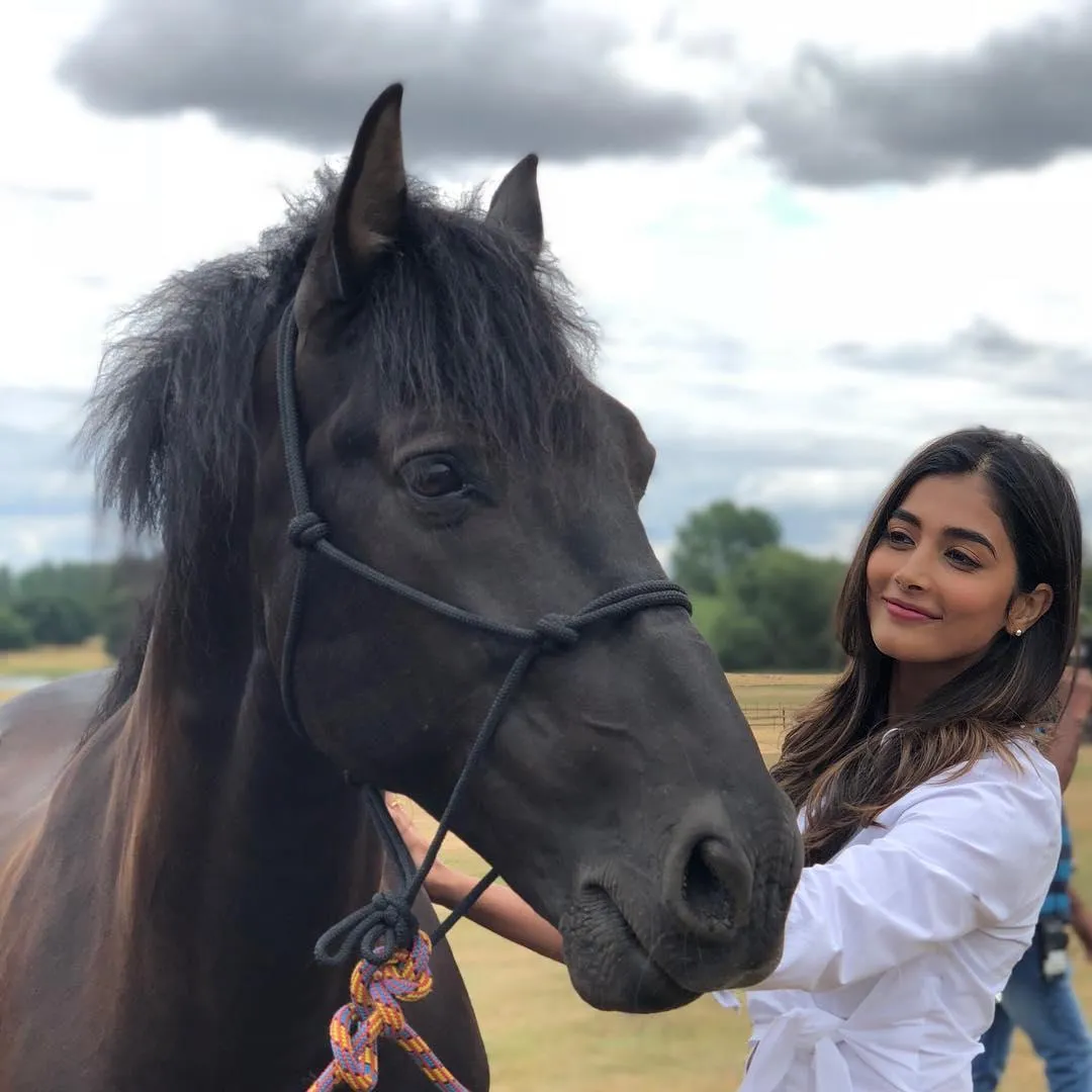 Pooja Hegde Enjoying a Calm Moment with a Black Horse