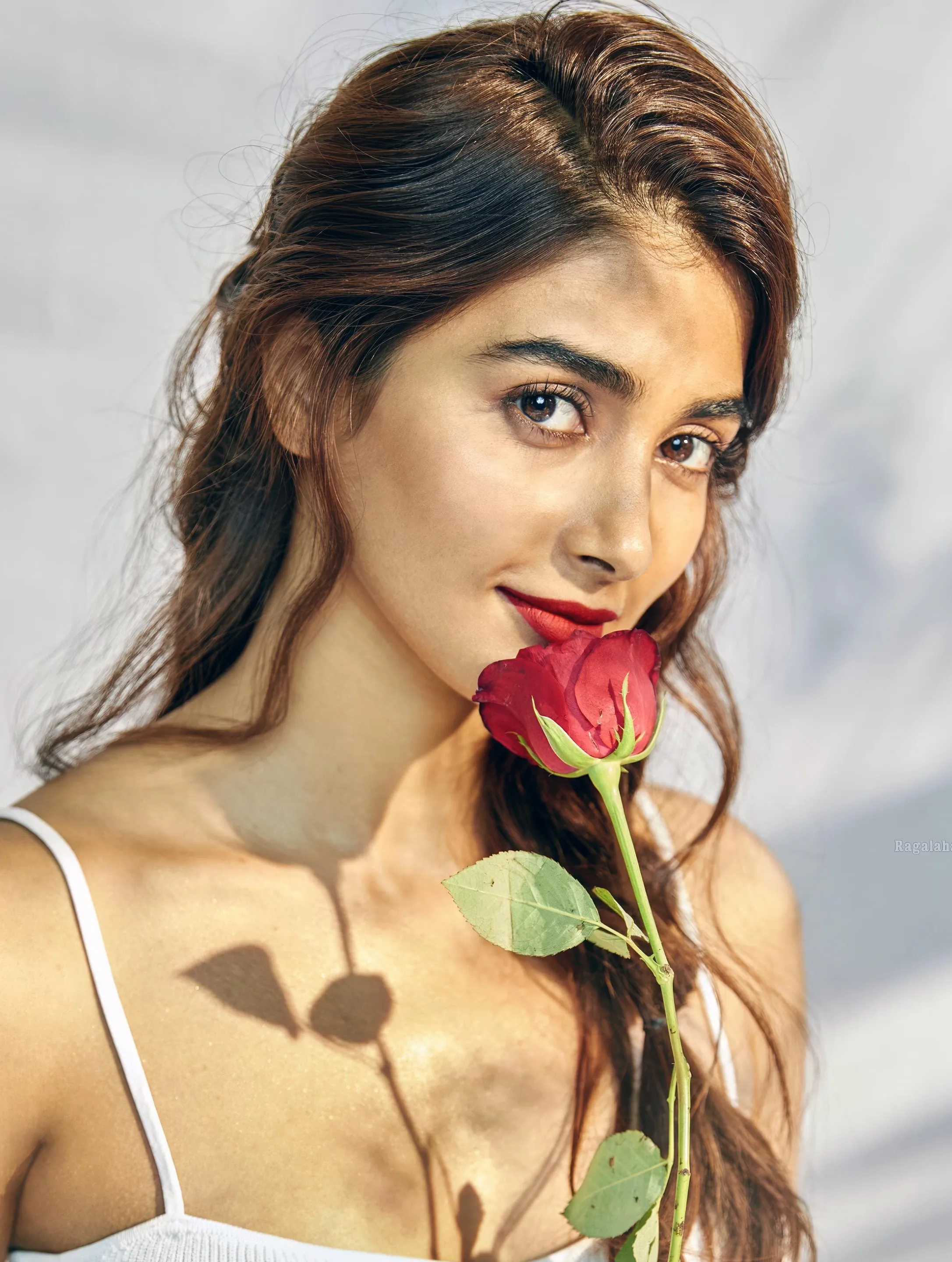 Pooja Hegde Holding a Red Rose with Soft Natural Light