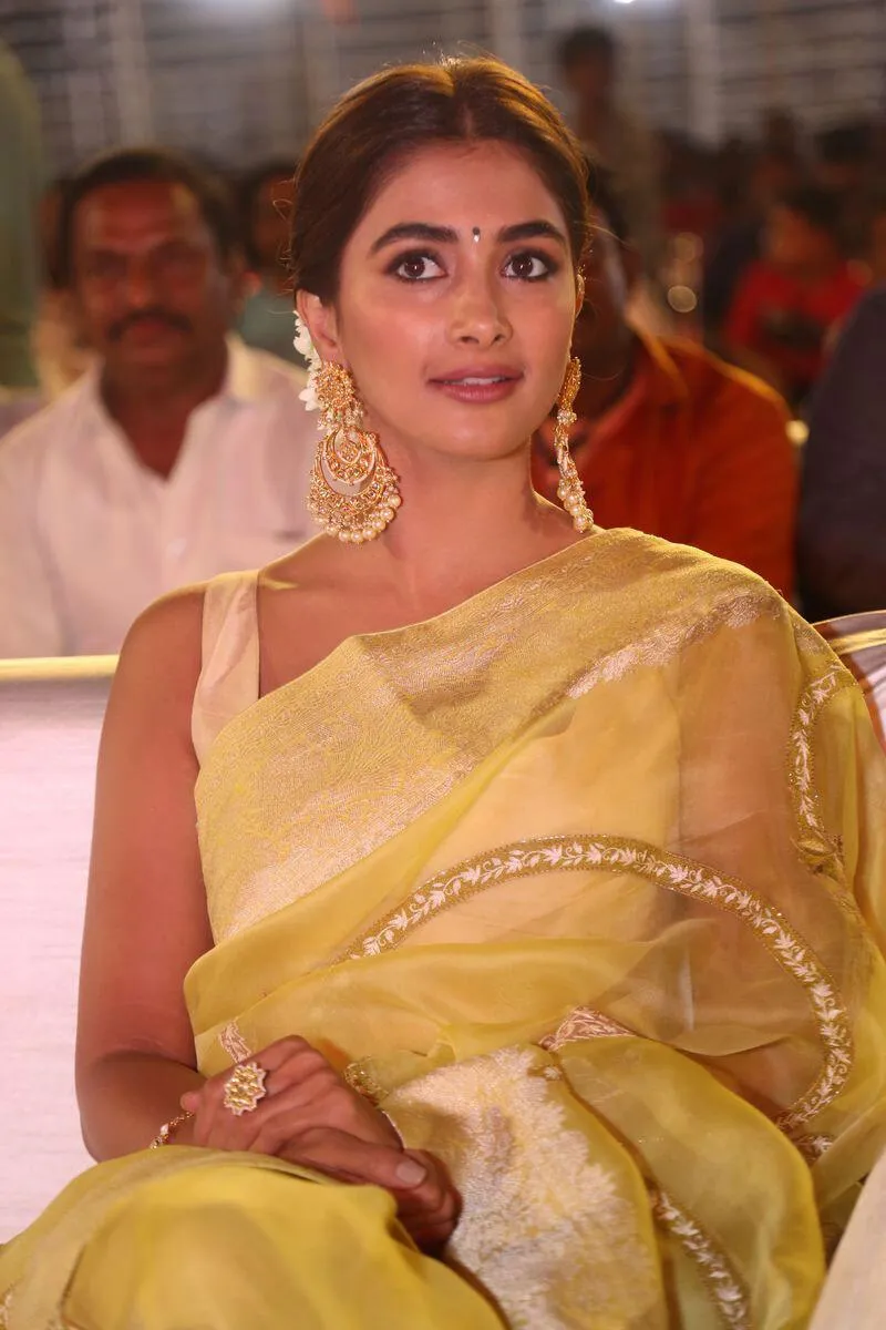 Pooja Hegde in Yellow Saree During Film Celebration Hd