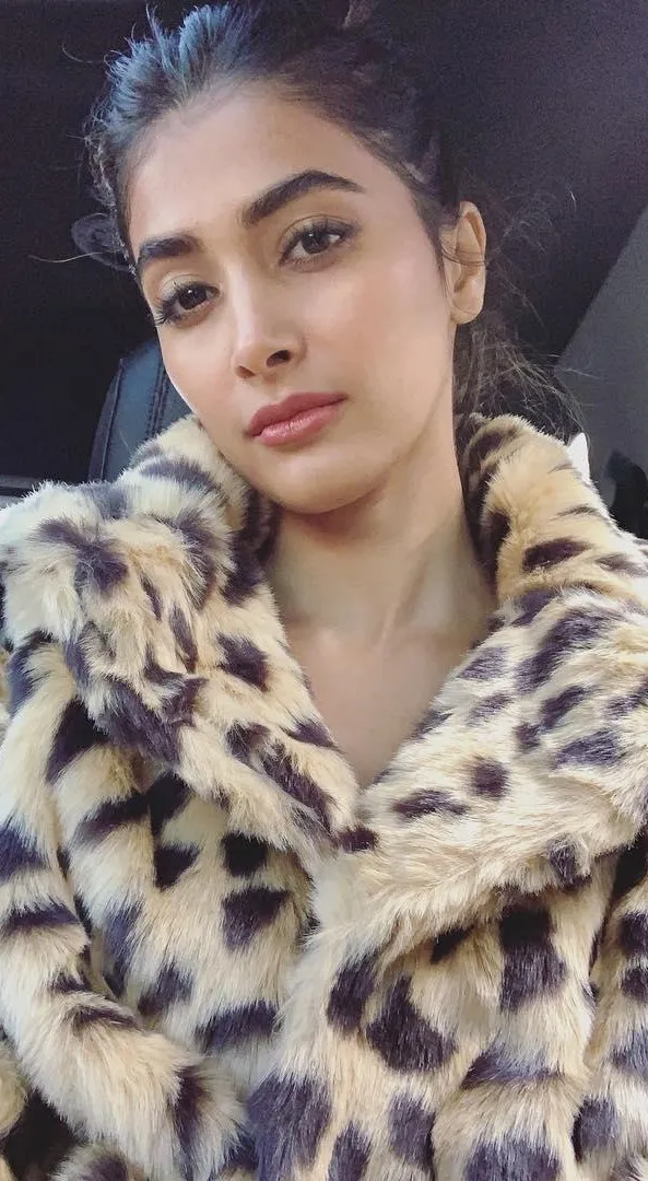 Pooja Hegde Wearing Leopard Print Jacket and Posing Hd