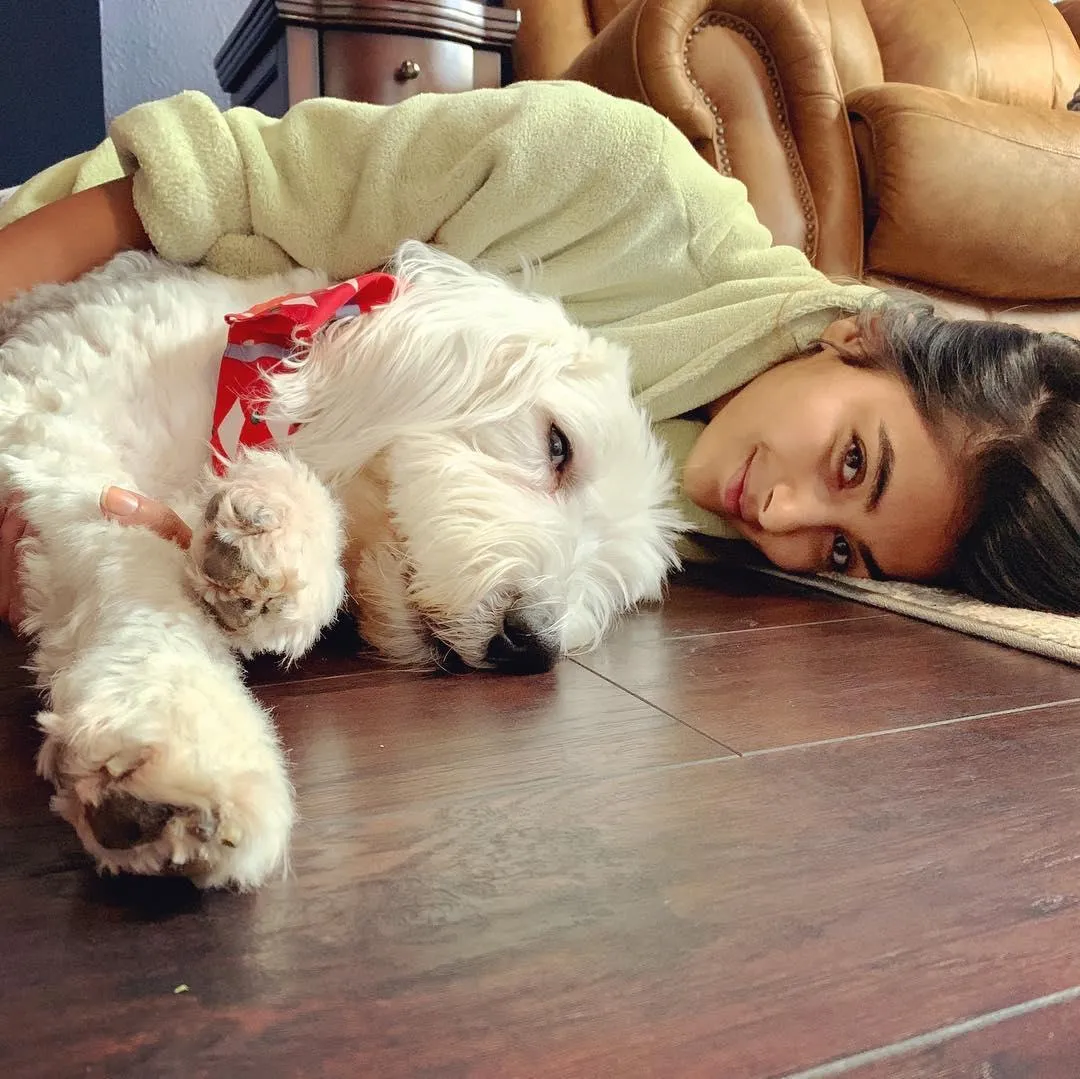 Relaxed Pooja Hegde Lying Down with Her Dog Wallpaper