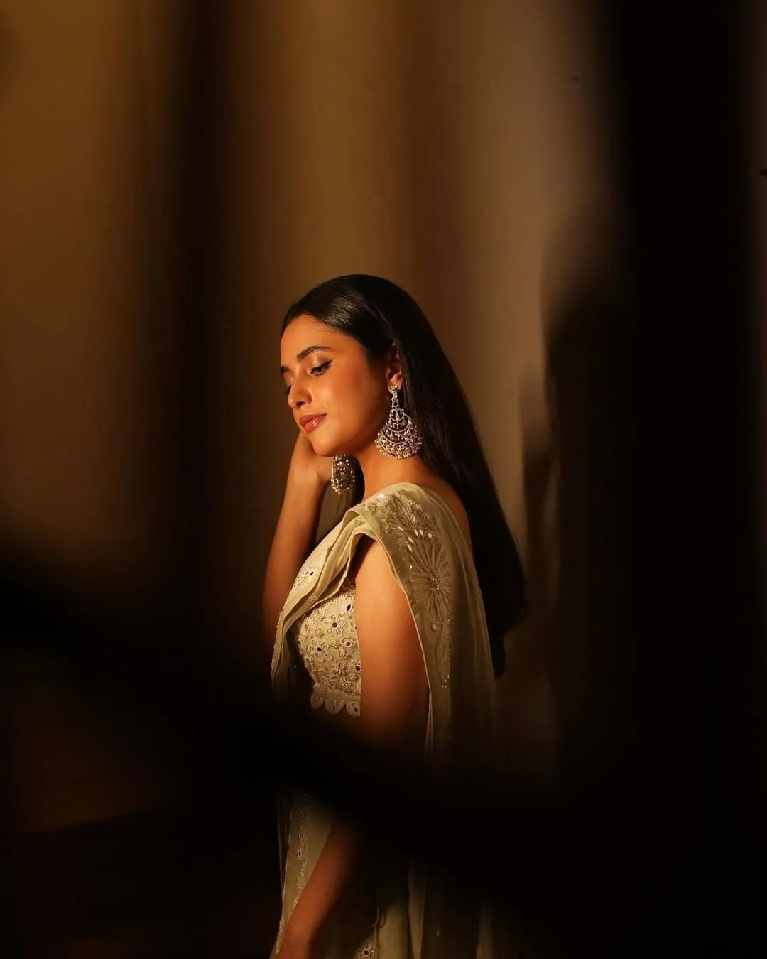 Artistic Low Light Shot of Priyanka Arul Mohan in Saree