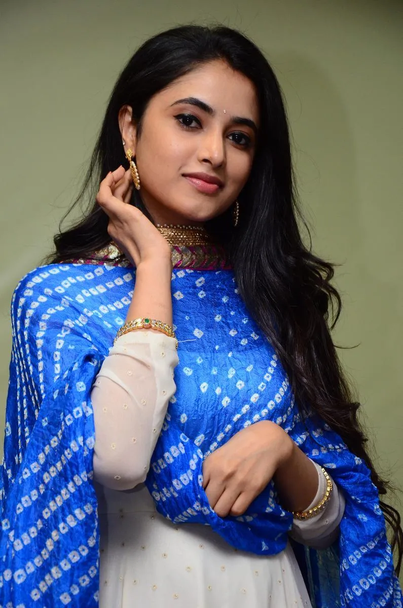 Priyanka dressed in blue ethnic wear with graceful pose
