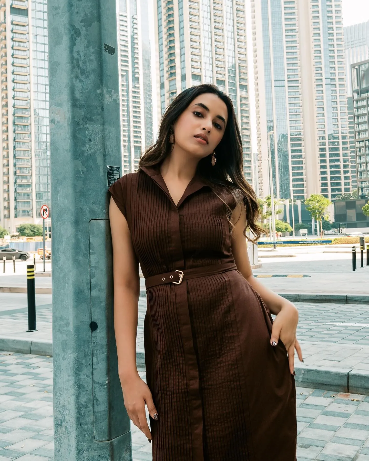Priyanka Mohan in a Brown Dress Leaning on the Street Light