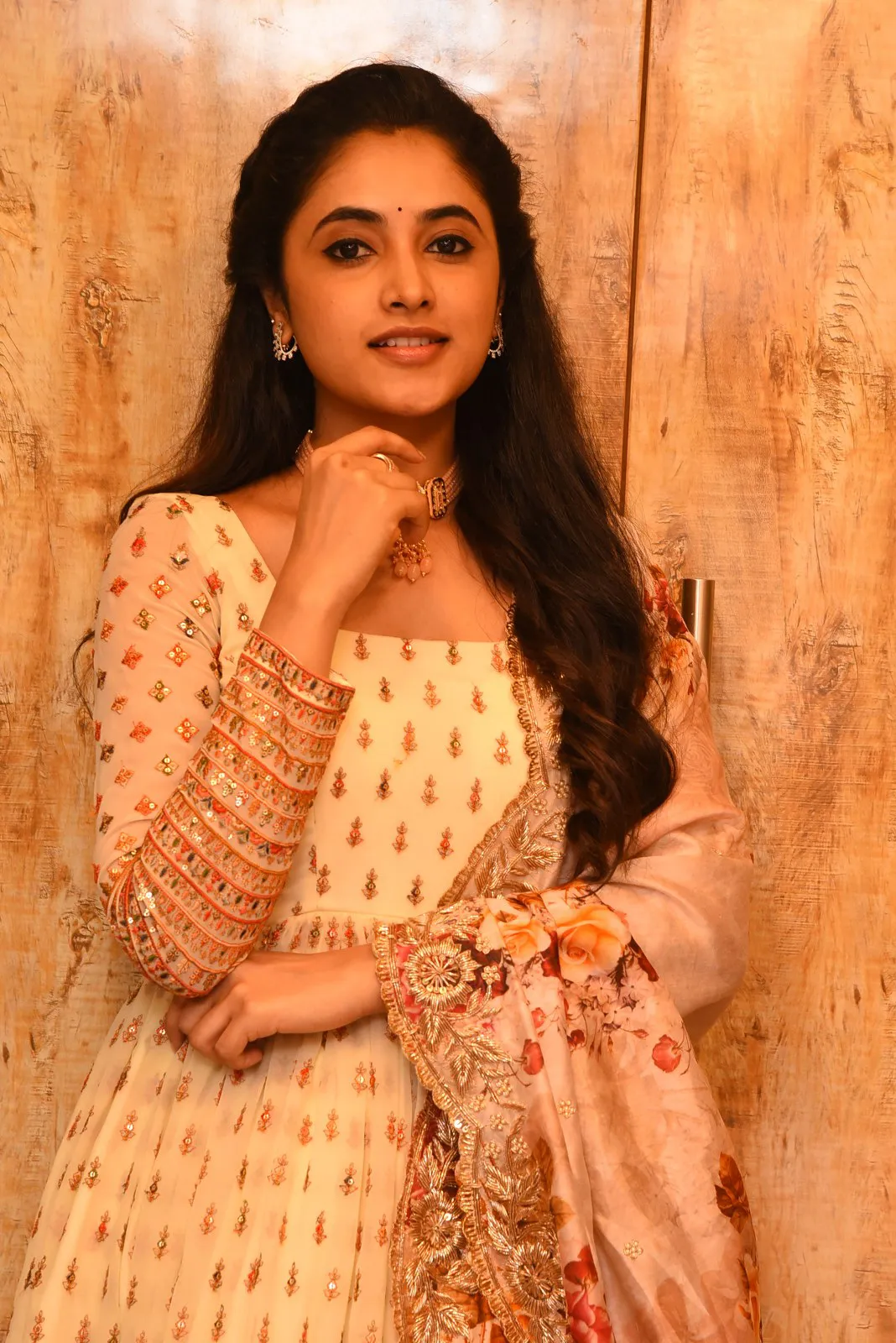 Tamil Nadu Actress Priyanka Mohan Traditional Dress