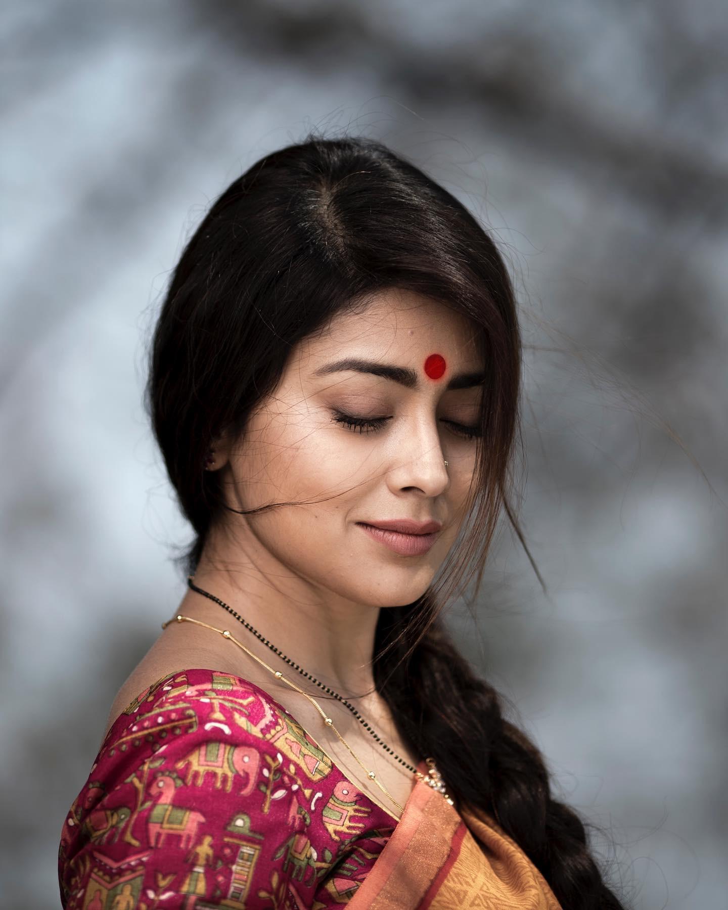 Shriya saran Ethnic Sree Look Hd Wallpaper