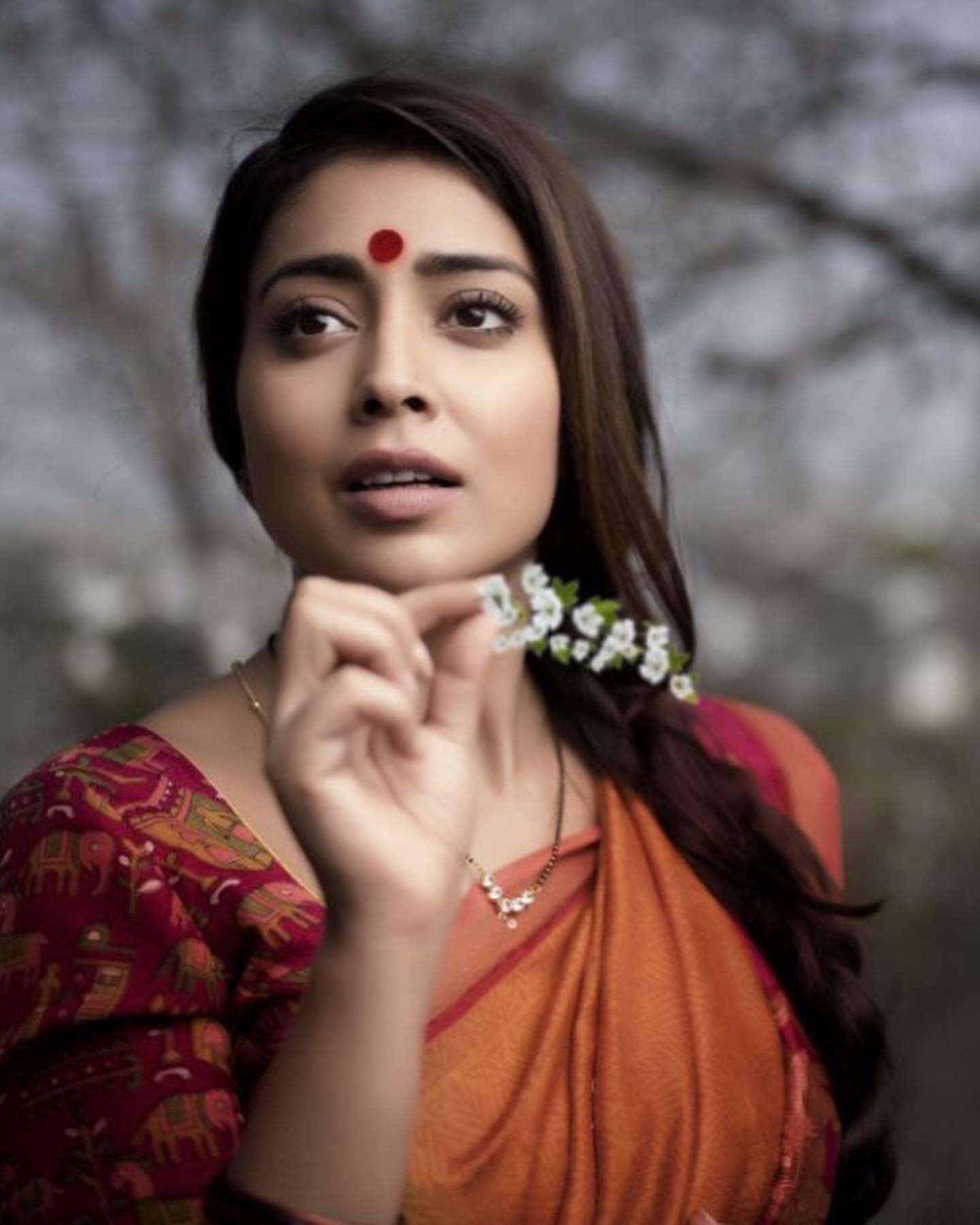Shriya saran Ethnic Sree Look Wallpaper