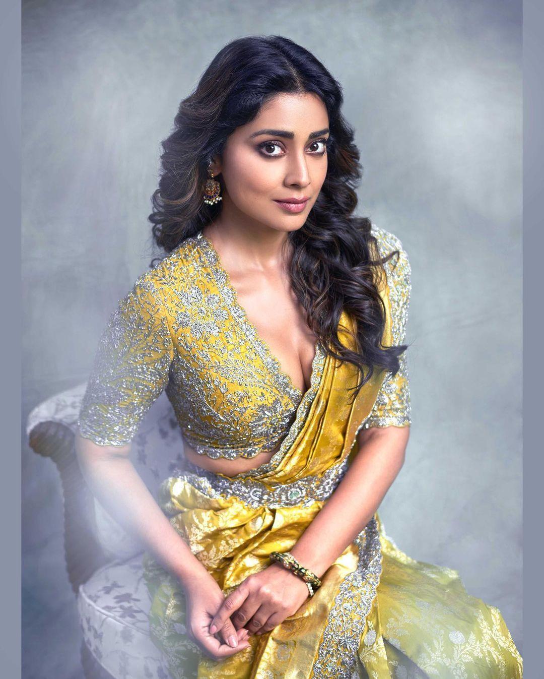 Shriya Saran Yellow Saree Portrait Hd