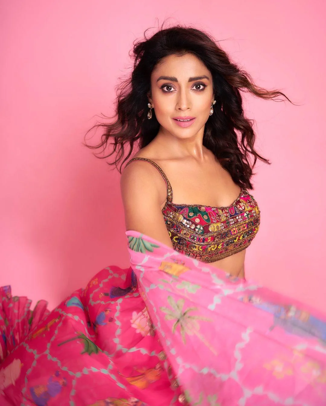 Shreya Saran Elegant Pink Saree Hd Wallpaper