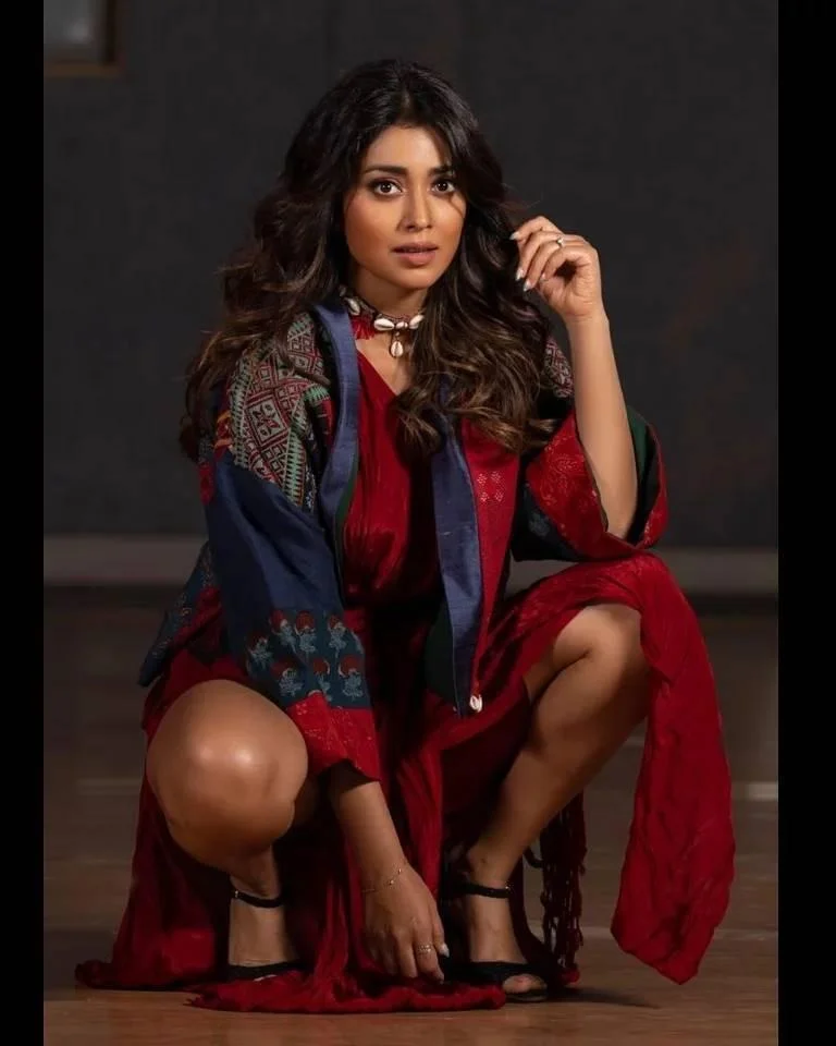 Shriya Saran Classic Indian Beauty
