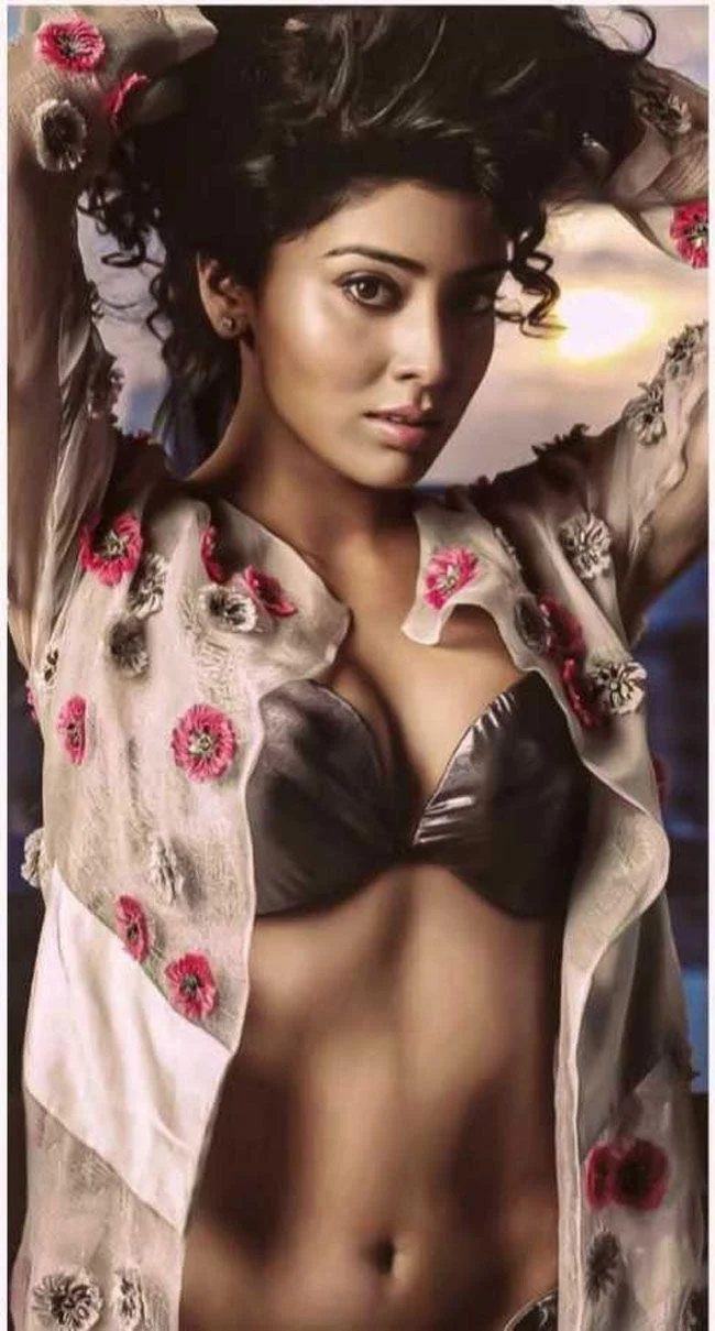 Shriya Saran Glamour Shot Hd Wallpaper