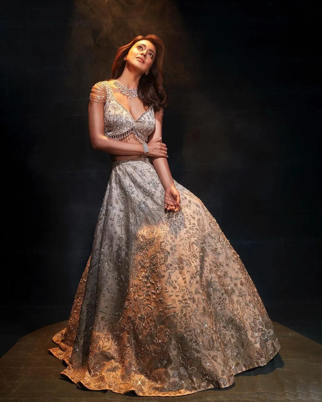 Shriya Saran in Silver Gown Hd Image