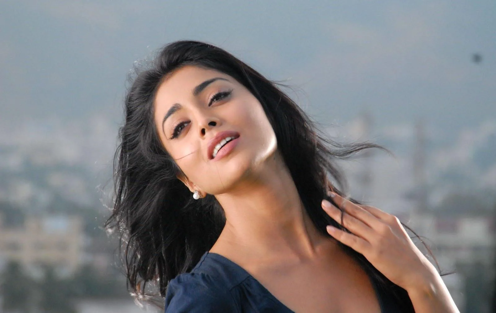 South Indian Beauty Shriya Saran Hd Wallpaper
