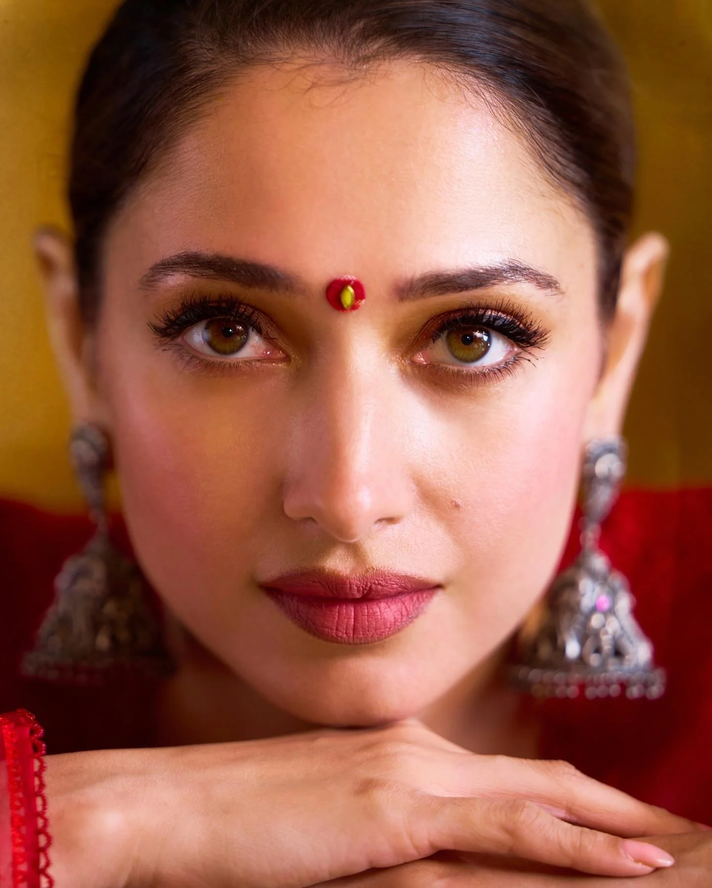 Tamannaah Bhatia in Elegant Traditional Look
