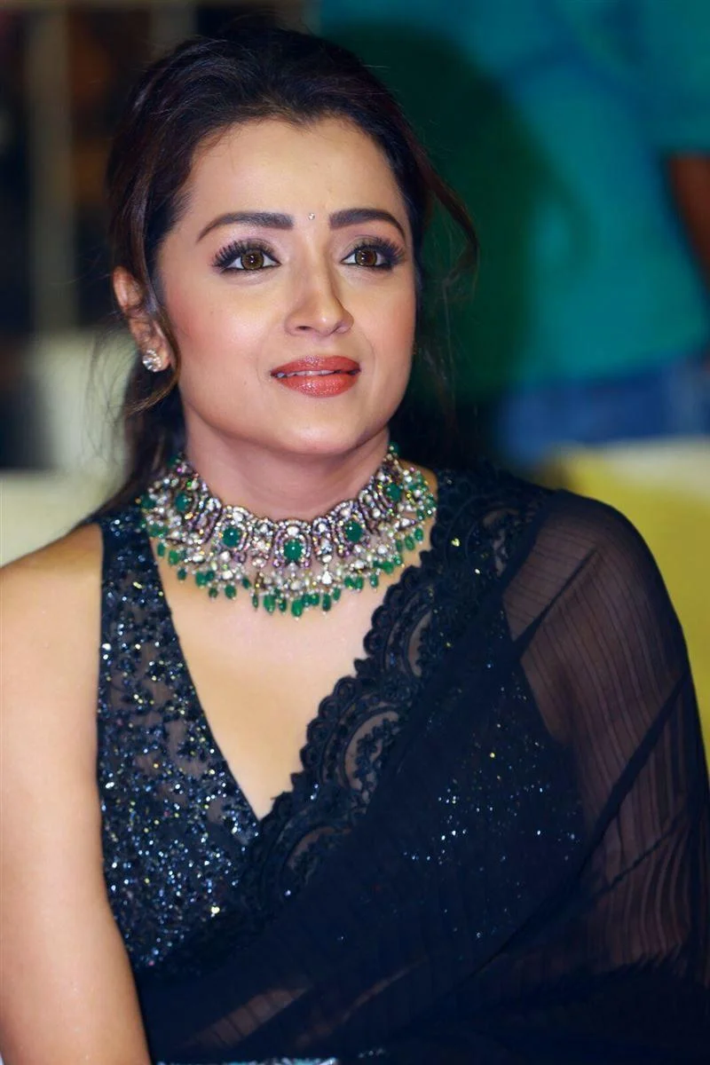 Trisha Krishnan Cute in Black Saree at Glamorous Event