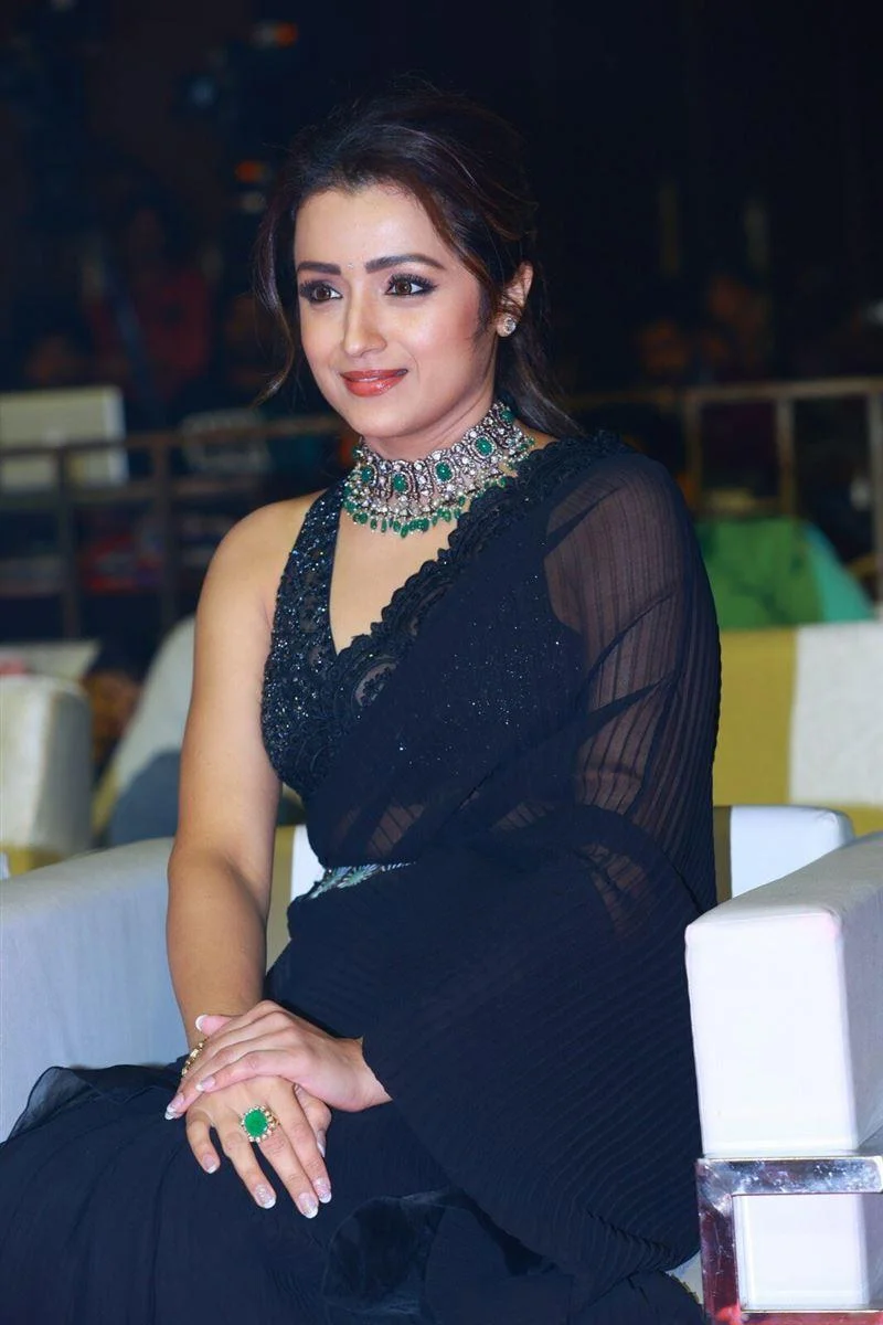 Trisha Krishnan in Black Saree at Glamorous Event