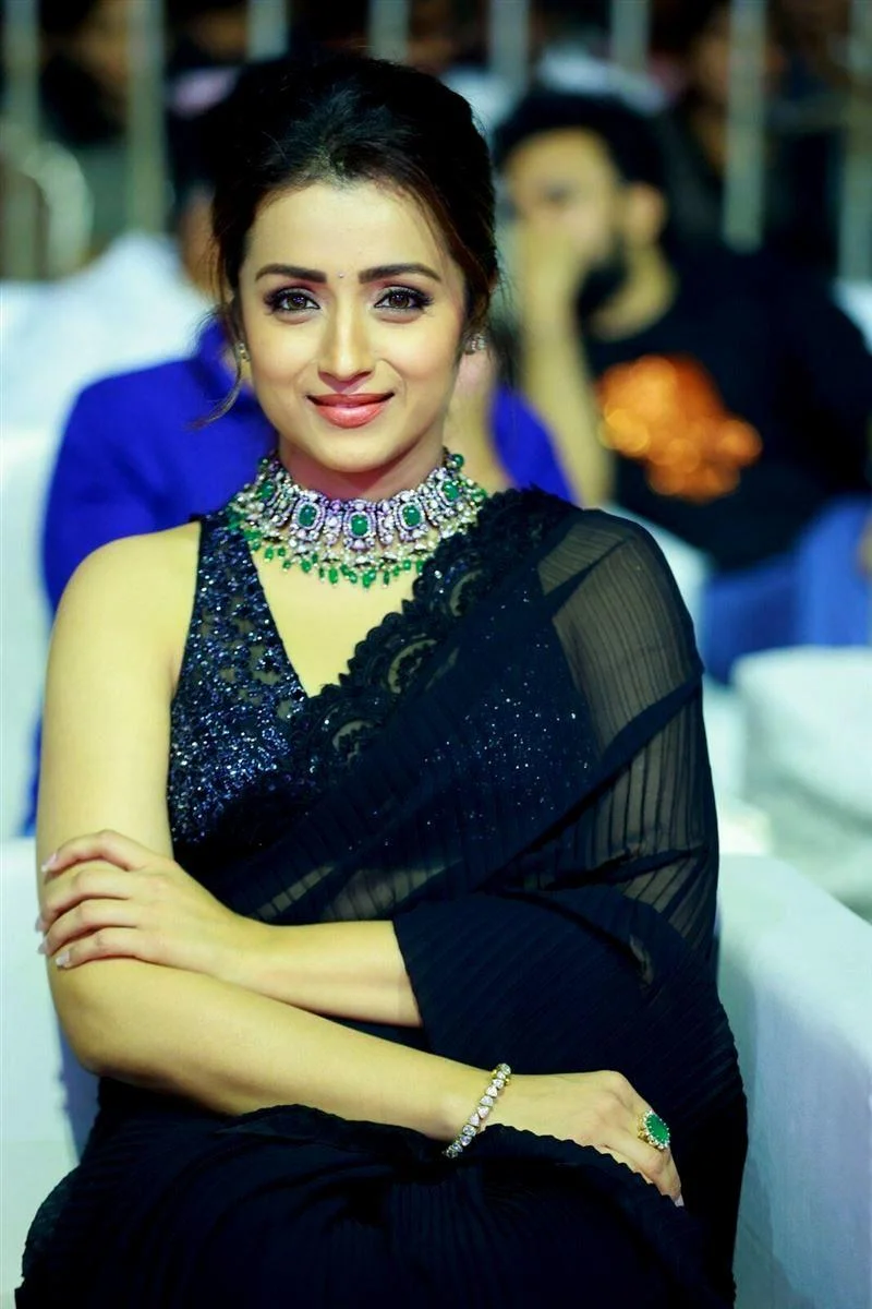 Trisha Krishnan in Black Saree Hd Picture Hd Image