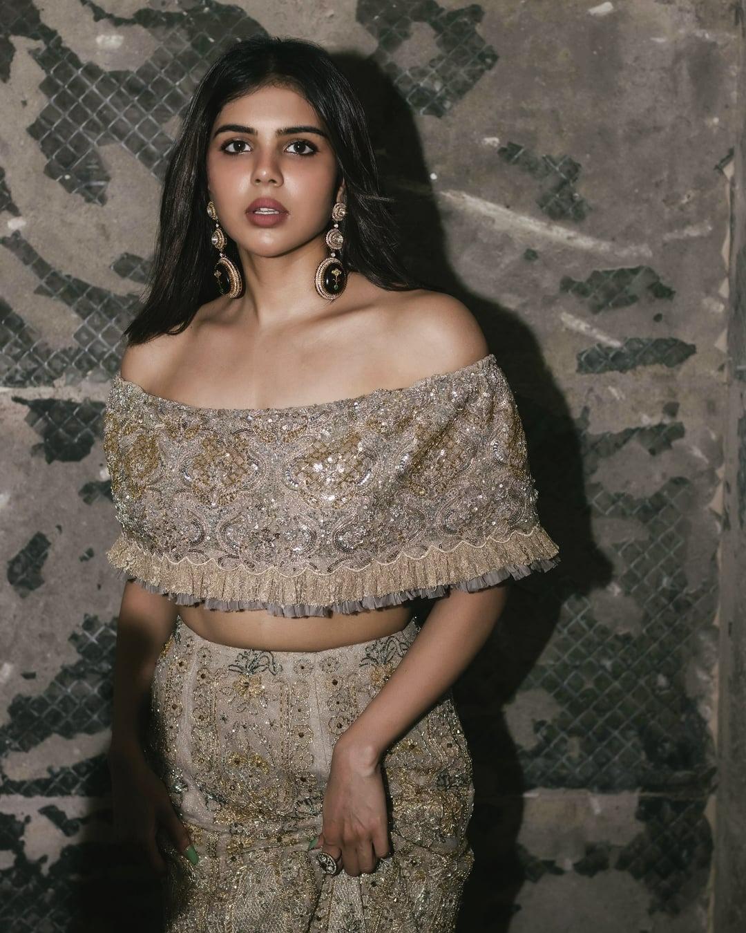 Gray and Golden Party Wear in Priyadarshan free Photo