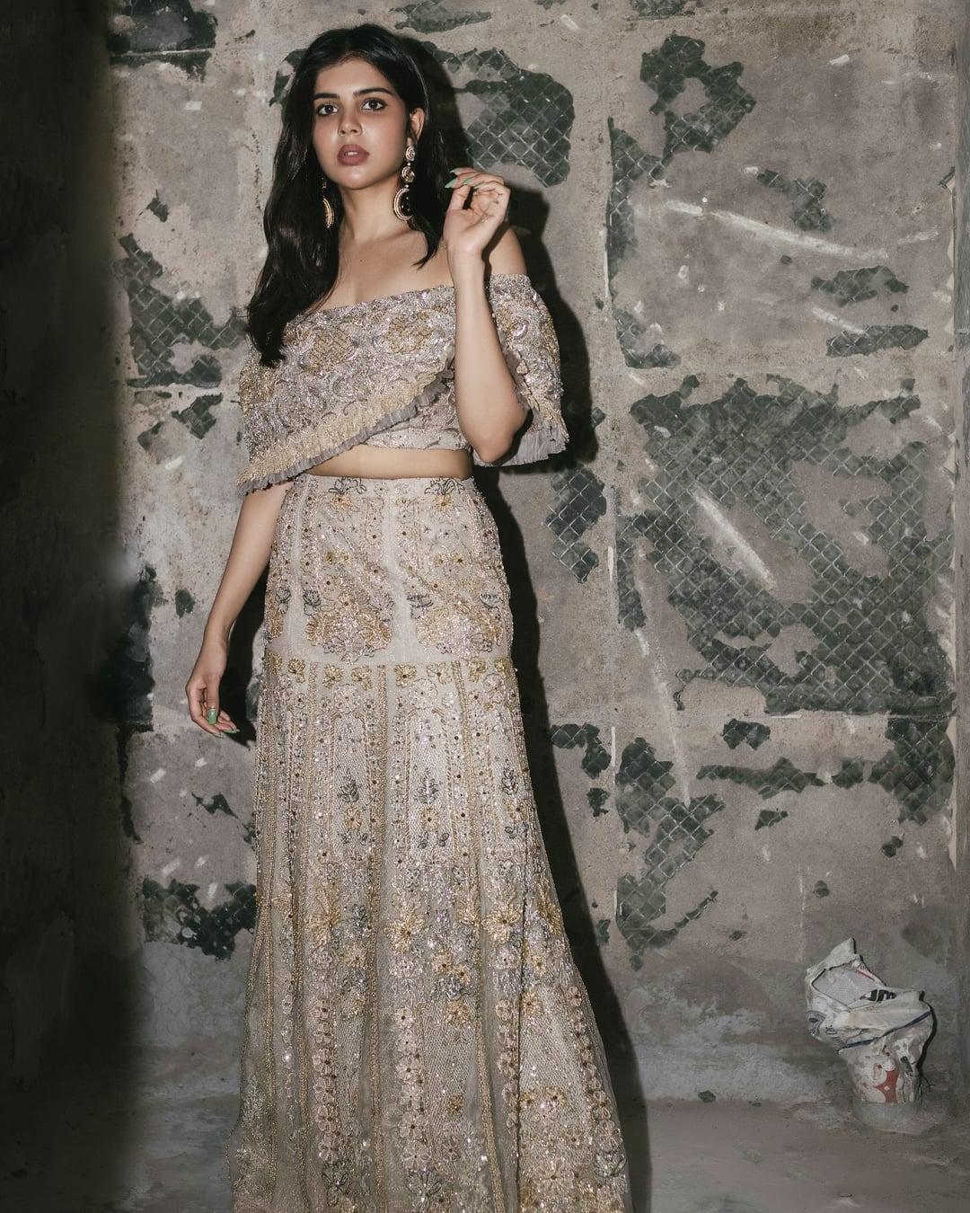 Priyadarshan in Party Wear Gray and Golden Dress Photo