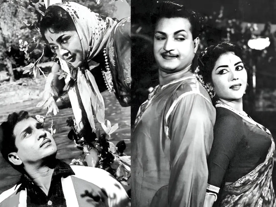 Photo 3 of Krishna Kumari