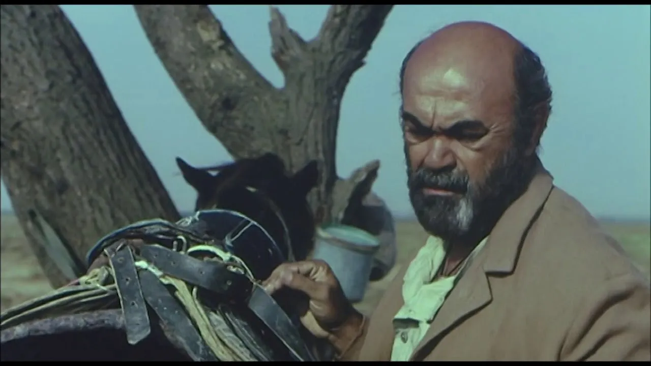 Photo 8 of Vidadi Hasanov