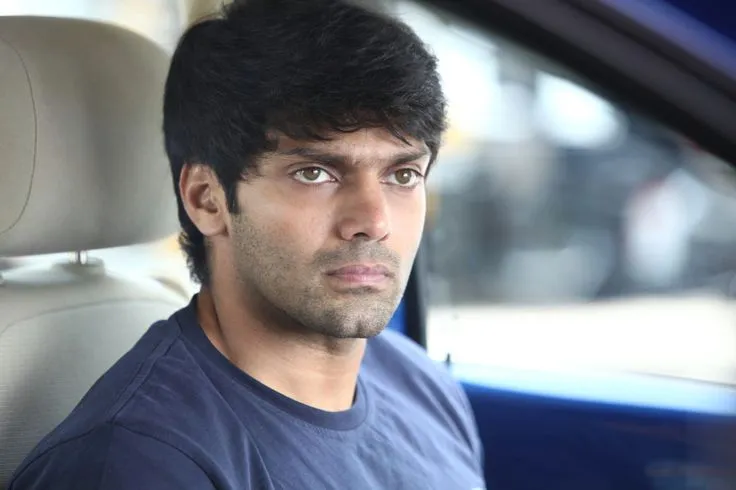 Photo 5 of Arya