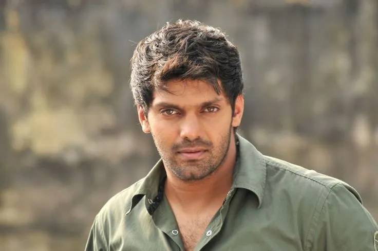 Photo 8 of Arya